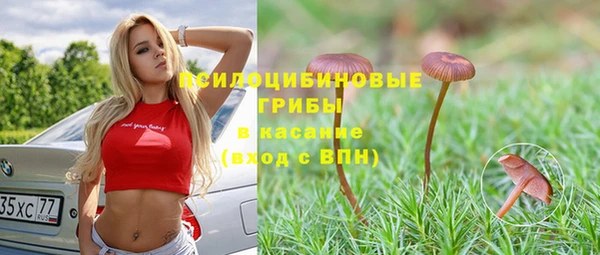 мяу мяу мука Алзамай