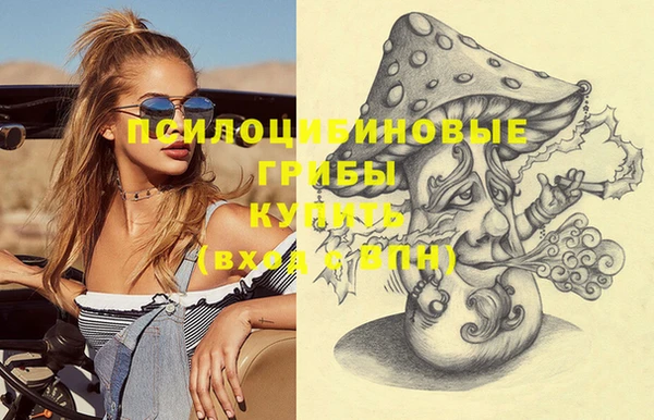 ешки Алексеевка