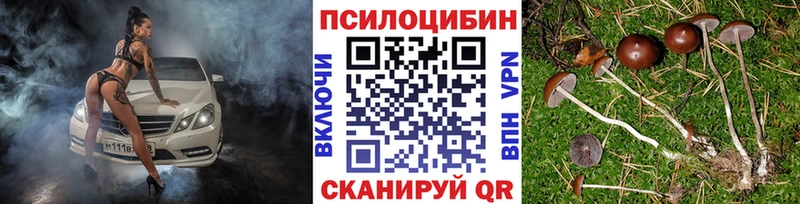 Псилоцибиновые грибы MAGIC MUSHROOMS  наркотики  Яхрома 